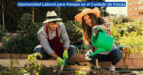 trabajos para parejas|Empleos para parejas en el extranjero ¿Qué opciones。